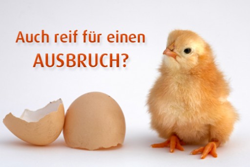 K�cken durchbricht seine Eierschale und schl�pft - Bist Du auch reif f�r einen Ausbruch?